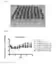 Fig. 05 - Drug formulation based on particulates comprising polysaccharide-vitamin conjugate