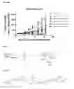 Fig. 06 - Drug formulation based on particulates comprising polysaccharide-vitamin conjugate