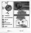 Fig. 02 - Nanoparticle composition for use in targeting cancer stem cells and method for treatment of cancer