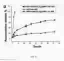 Fig. 08 - Nanoparticle composition for use in targeting cancer stem cells and method for treatment of cancer