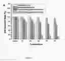 Fig. 10 - Nanoparticle composition for use in targeting cancer stem cells and method for treatment of cancer