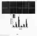 Fig. 25 - Nanoparticle composition for use in targeting cancer stem cells and method for treatment of cancer