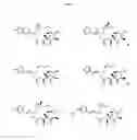 Fig. 13 - COMPOSITIONS AND METHODS FOR TREATMENT OF AUTOIMMUNE AND OTHER DISEASE