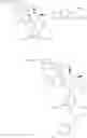 Fig. 487 - COMPOSITIONS AND METHODS FOR TREATMENT OF AUTOIMMUNE AND OTHER DISEASE
