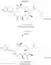 Fig. 504 - COMPOSITIONS AND METHODS FOR TREATMENT OF AUTOIMMUNE AND OTHER DISEASE