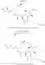 Fig. 508 - COMPOSITIONS AND METHODS FOR TREATMENT OF AUTOIMMUNE AND OTHER DISEASE