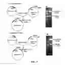 Fig. 04 - Gene and cell therapy using cell fusion technology