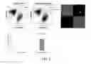 Fig. 07 - Gene and cell therapy using cell fusion technology