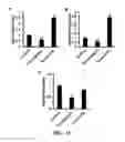 Fig. 11 - Gene and cell therapy using cell fusion technology