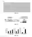 Fig. 14 - Gene and cell therapy using cell fusion technology