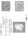 Fig. 02 - Injectable Polyurethanes and Applications Thereof