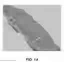 Fig. 02 - INJECTABLE HYDROGELS AND APPLICATIONS THEREOF