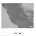 Fig. 04 - INJECTABLE HYDROGELS AND APPLICATIONS THEREOF