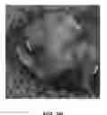 Fig. 05 - INJECTABLE HYDROGELS AND APPLICATIONS THEREOF