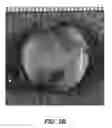Fig. 07 - INJECTABLE HYDROGELS AND APPLICATIONS THEREOF