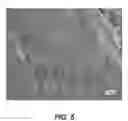 Fig. 09 - INJECTABLE HYDROGELS AND APPLICATIONS THEREOF