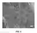 Fig. 10 - INJECTABLE HYDROGELS AND APPLICATIONS THEREOF