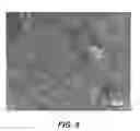 Fig. 12 - INJECTABLE HYDROGELS AND APPLICATIONS THEREOF