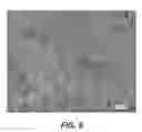Fig. 13 - INJECTABLE HYDROGELS AND APPLICATIONS THEREOF