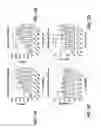 Fig. 06 - Method of generating collagen fibers