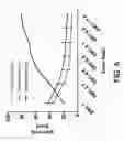 Fig. 07 - Method of generating collagen fibers