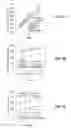 Fig. 04 - Biomimetic Scaffolds Including Devitalized Cells