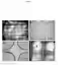 Fig. 04 - PRINTABLE MORPHOGENETIC PHASE-SPECIFIC CHITOSAN-CALCIUM-POLYPHOSPHATE SCAFFOLD FOR BONE REPAIR