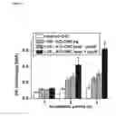 Fig. 05 - PRINTABLE MORPHOGENETIC PHASE-SPECIFIC CHITOSAN-CALCIUM-POLYPHOSPHATE SCAFFOLD FOR BONE REPAIR
