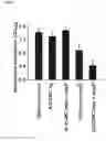 Fig. 06 - PRINTABLE MORPHOGENETIC PHASE-SPECIFIC CHITOSAN-CALCIUM-POLYPHOSPHATE SCAFFOLD FOR BONE REPAIR
