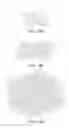 Fig. 13 - Medical device