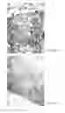 Fig. 06 - Biocompatible and bioabsorbable derivatized chitosan compositions