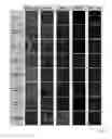 Fig. 09 - Medical glass element