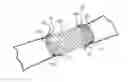 Fig. 01 - Encapsulated or coated stent systems