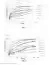 Fig. 04 - ELASTIC ANTIMICROBIAL FILM AND SOCKET MADE THEREFROM
