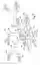 Fig. 08 - Redundant-impeller artificial heart