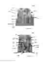 Fig. 05 - Sterile patch pump