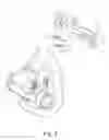 Fig. 06 - Cushion for a respiratory mask assembly