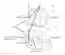 Fig. 04 - Ventilation mask
