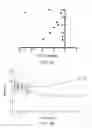 Fig. 43 - Systems, devices and methods for performing medical procedures in the intestine
