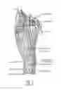 Fig. 02 - Device and method for automated emergency arterial sheath placement