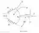 Fig. 01 - Balloon catheter and fluid management system thereof