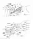 Fig. 04 - Systems and methods to place one or more leads in tissue for providing functional and/or therapeutic stimulation