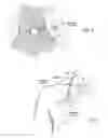 Fig. 05 - Systems and methods to place one or more leads in tissue for providing functional and/or therapeutic stimulation