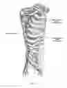 Fig. 13 - Systems and methods to place one or more leads in tissue for providing functional and/or therapeutic stimulation