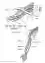 Fig. 14 - Systems and methods to place one or more leads in tissue for providing functional and/or therapeutic stimulation