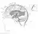 Fig. 01 - Electrical microglial cell activation