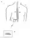 Fig. 01 - Posture state redefinition based on posture data