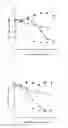 Fig. 06 - PHOTODYNAMIC THERAPY LIGHT IRRADIATING DEVICE AND LIGHT IRRADIATING METHOD