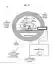 Fig. 02 - System and method for irradiation therapy using voxel based functional measurements of organs at risk