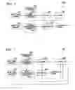 Fig. 05 - MEDICAL IMAGE PROCESSING APPARATUS, TREATMENT SYSTEM, AND MEDICAL IMAGE PROCESSING PROGRAM